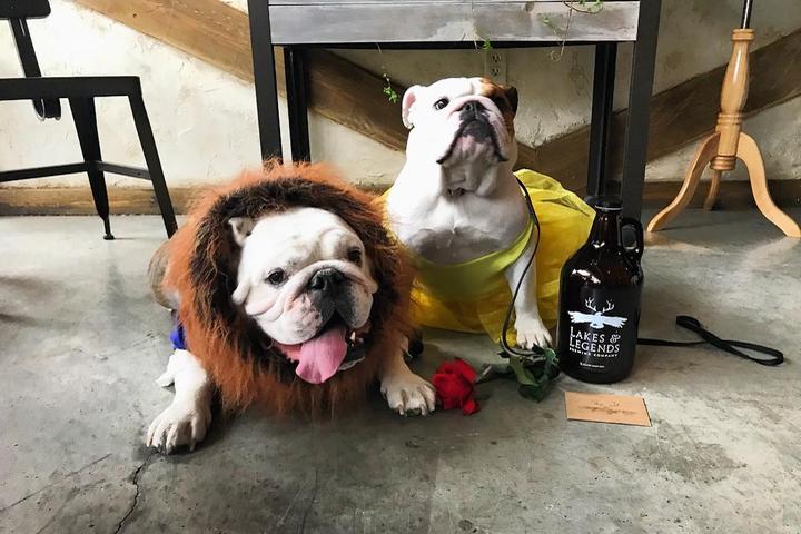 Pet Friendly Lakes & Legends Brewing Company