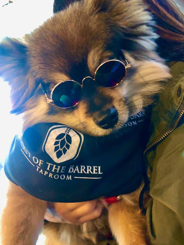 Pet Friendly Out of the Barrel
