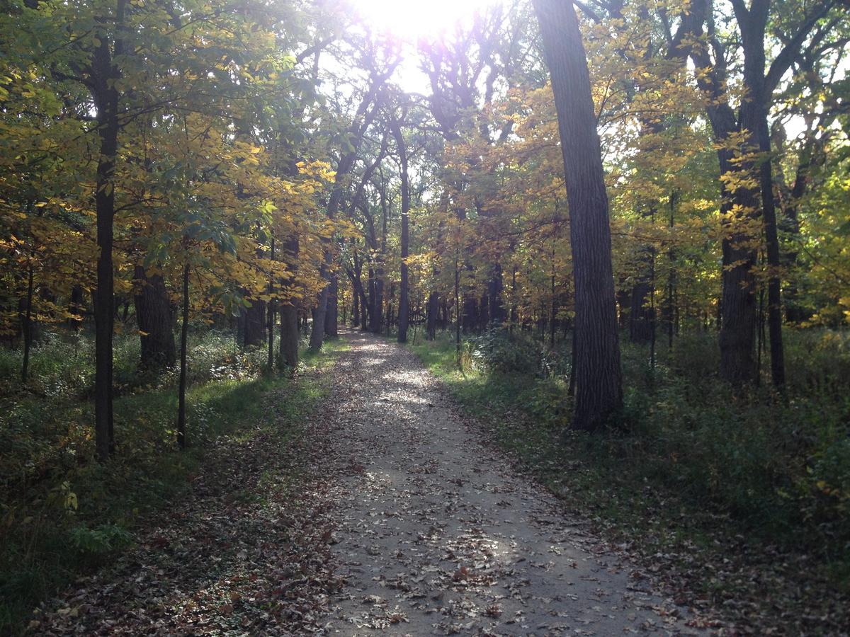 fabyan-forest-preserve