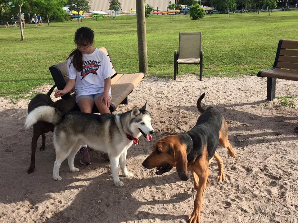 Pet Friendly Vero Beach Dog Park