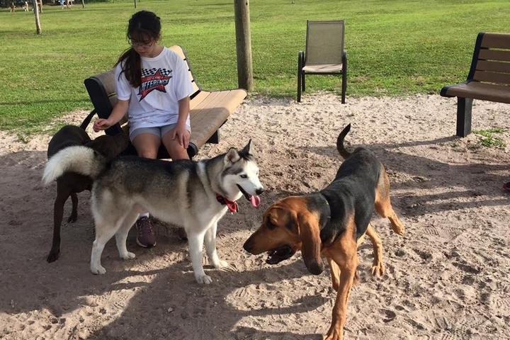 Pet Friendly Vero Beach Dog Park