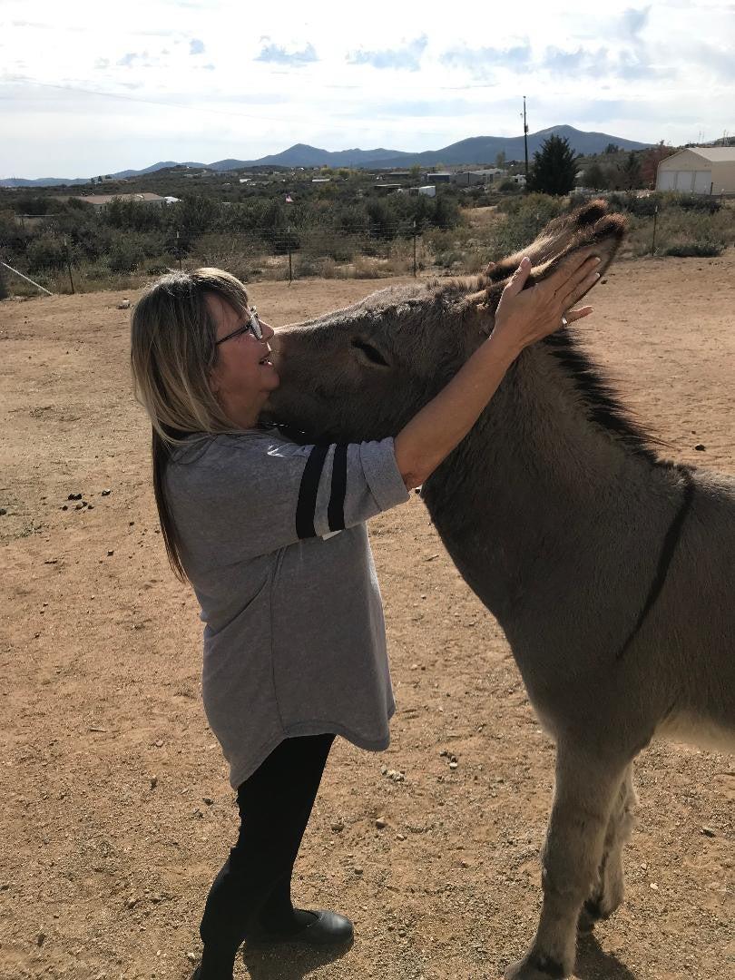 Pet Friendly Dances with Donkeys-Couples Retreat