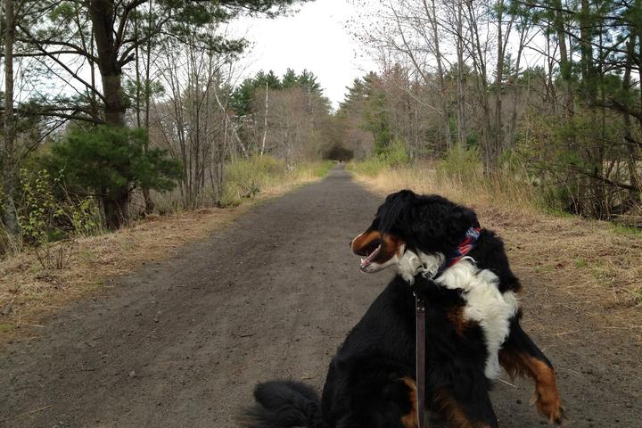 Pet Friendly Rockingham Recreational Rail Trail (Portsmouth Branch)