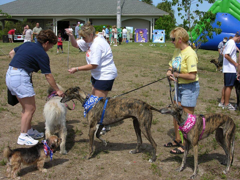 Pet Friendly Wagging Tails Dog Park at Rotary Park