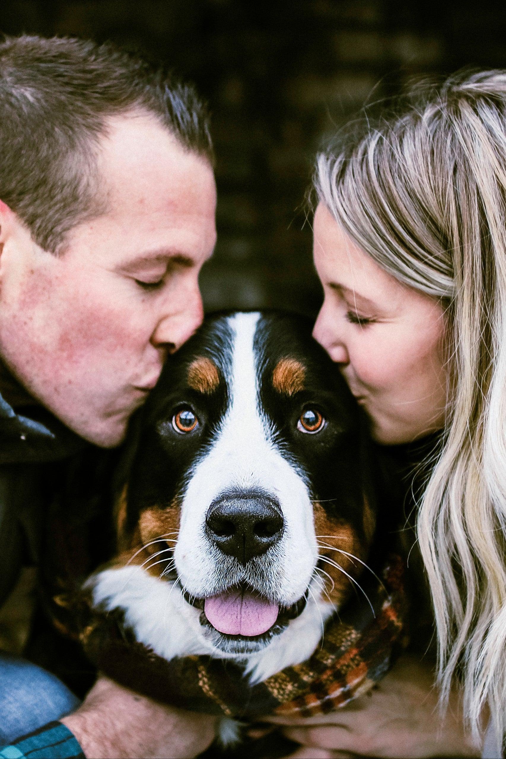 Pet Friendly Twin Cities Photoshoot