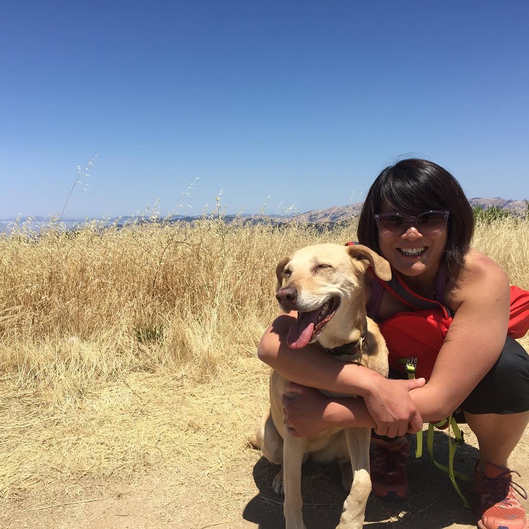 Dog friendly day hikes near clearance me