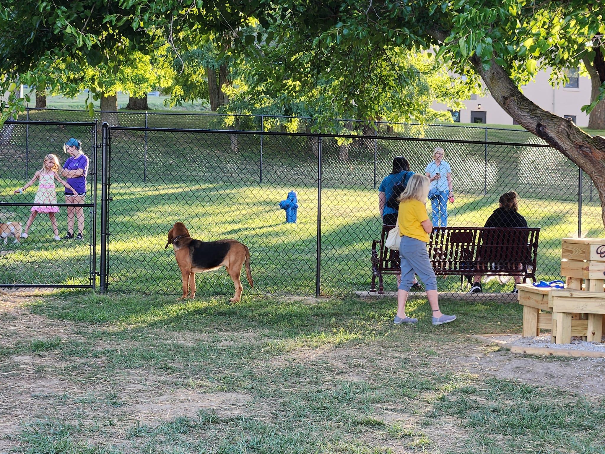 Pet Friendly Belmont County Dog Park