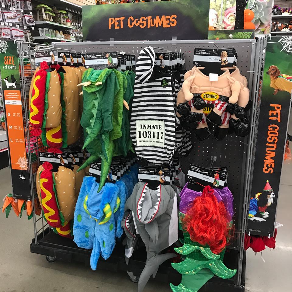 are dogs allowed in michaels craft store