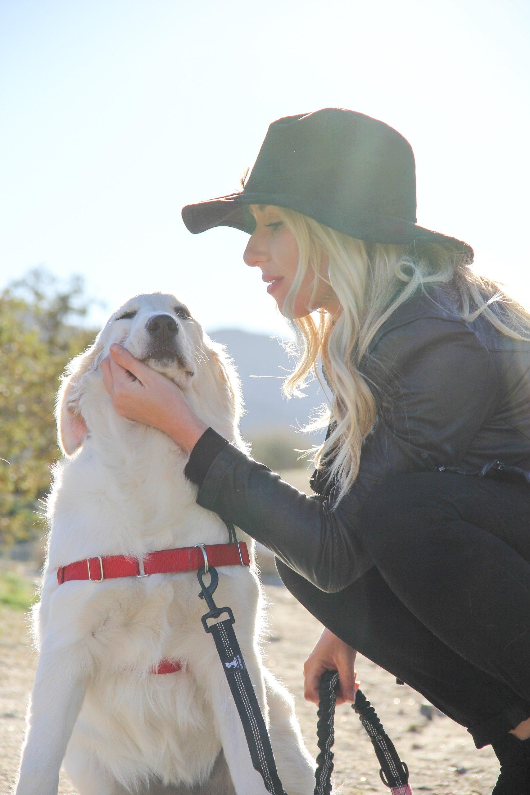 Pet Friendly Photo Hike w/ Your Pup in Joshua Tree