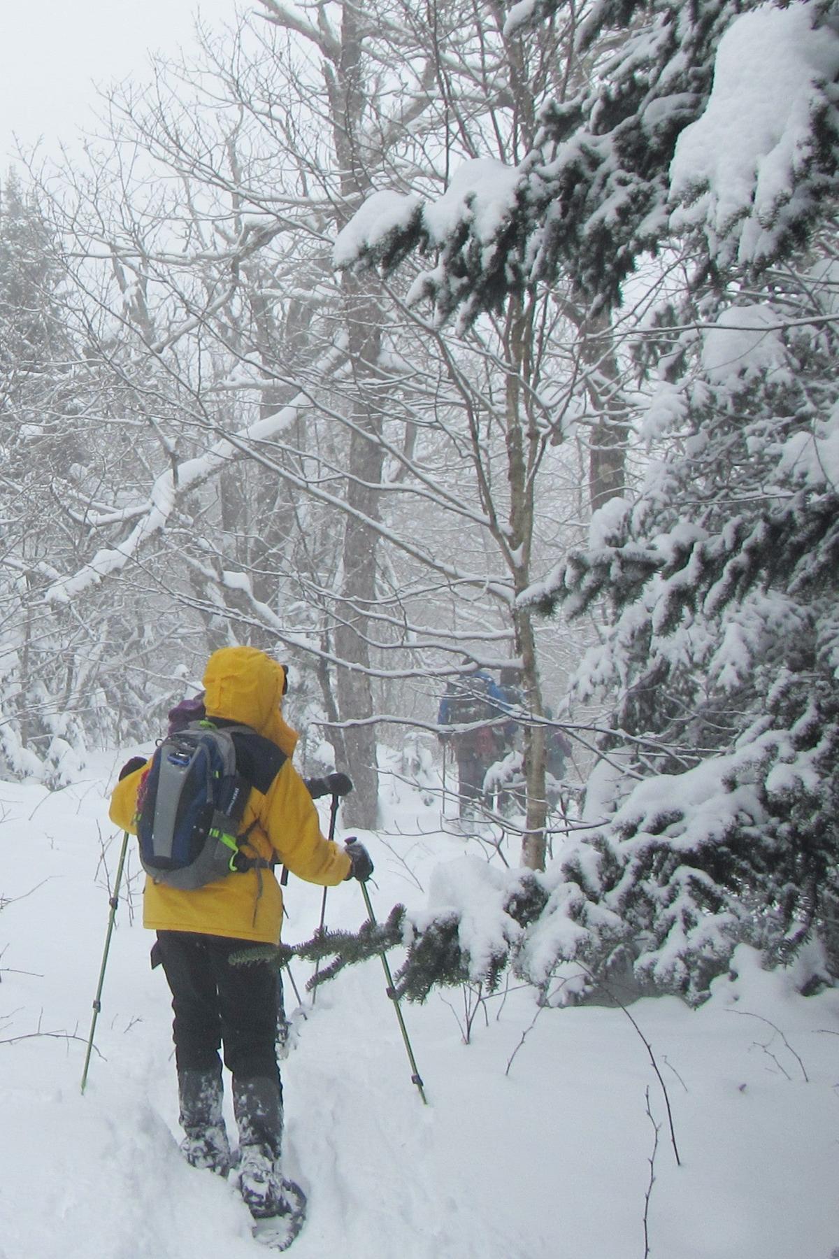 Snowshoeing the Catskills in New York