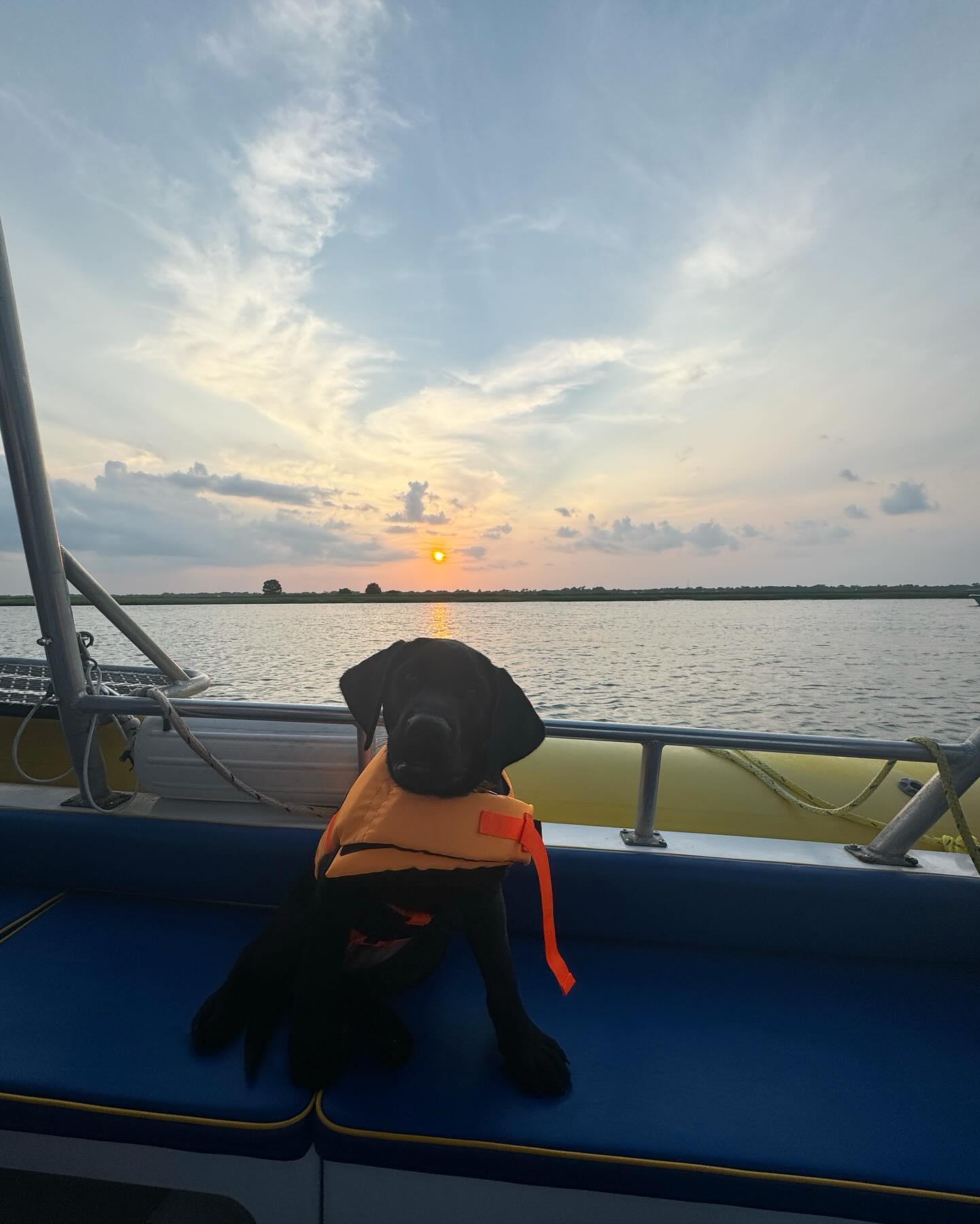 Pet Friendly Express Watersports