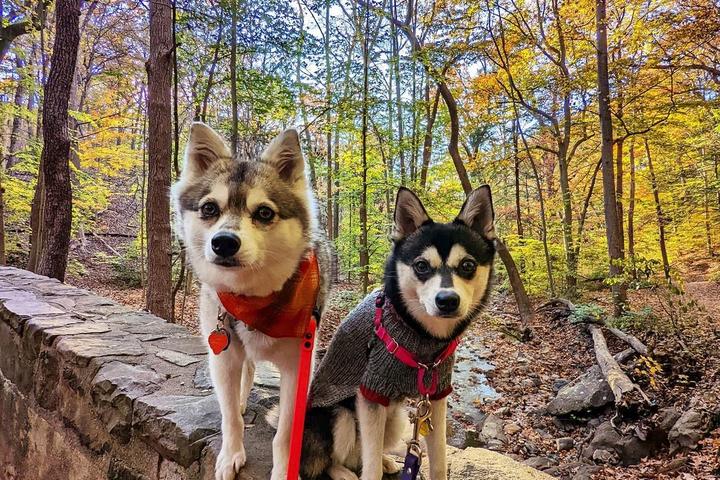 Pet Friendly South Mountain Reservation