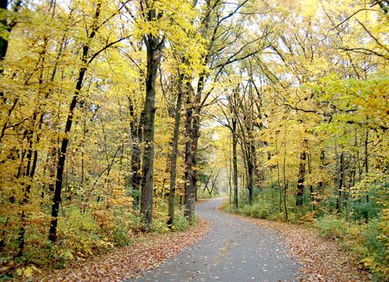 Pet Friendly Charles A. Lindbergh State Park