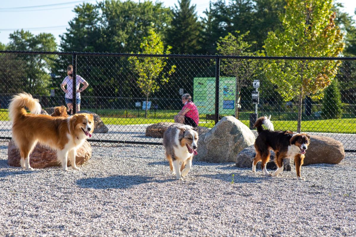 Cardinal Bark Park