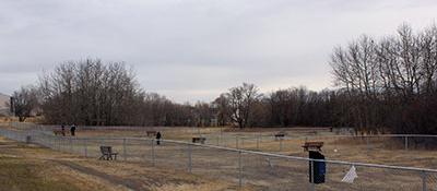 Picture of Paw Park, a dog friendly attraction in Brandon. Picture of Paw Park, a dog friendly attraction in Brandon.