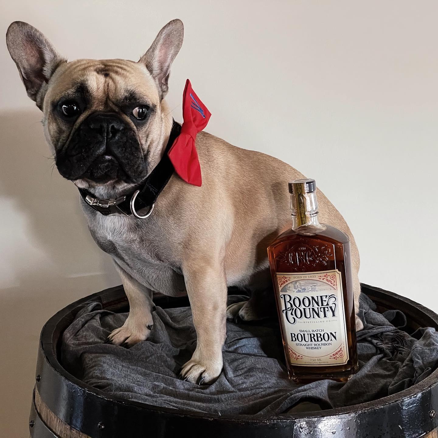Pet Friendly Boone County Distilling Co