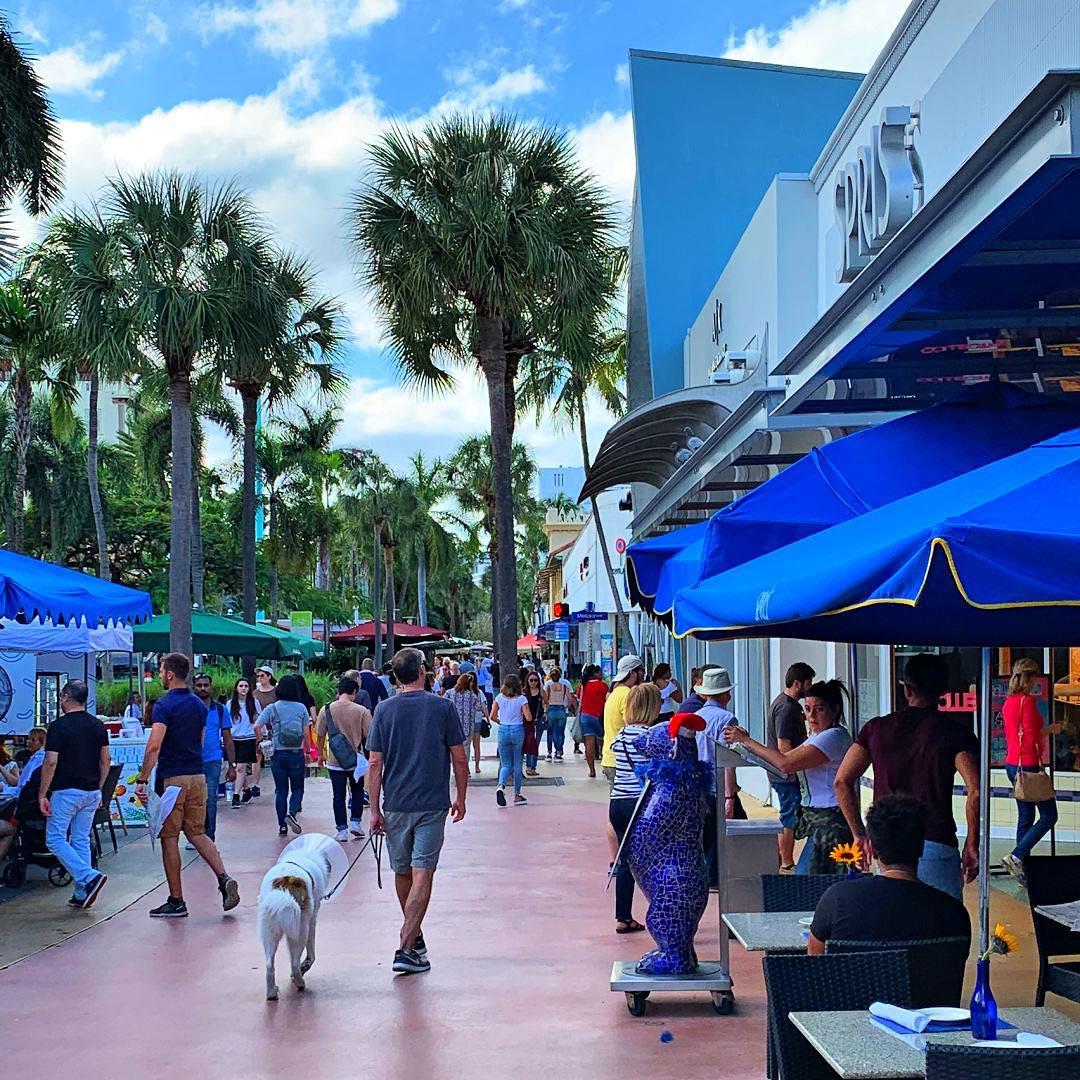 Pet Friendly Lincoln Road Mall