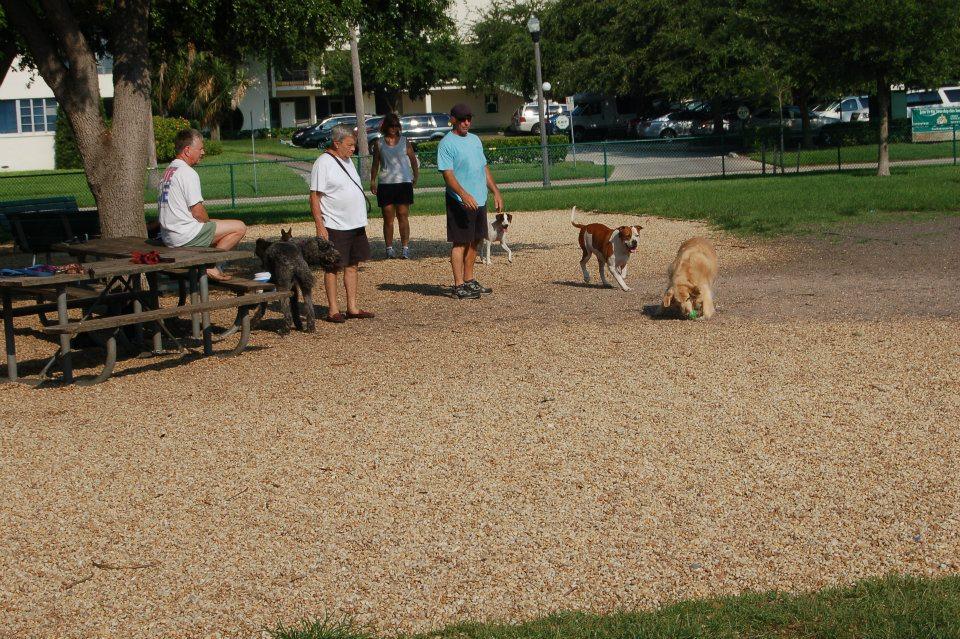 Pet Friendly Dog Park at North Shore Park