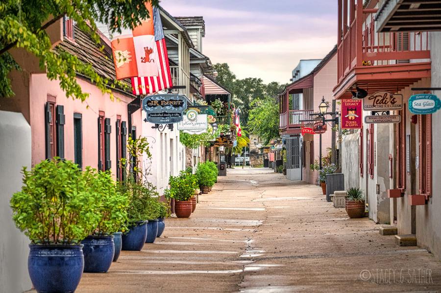 Pet Friendly St. George Street