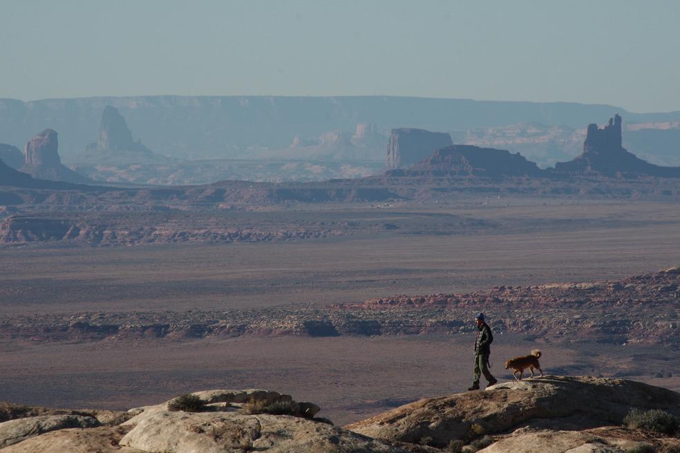 Pet Friendly Happy Tails Tours the Coyote - a Southwest Mighty Five Adventure Tour