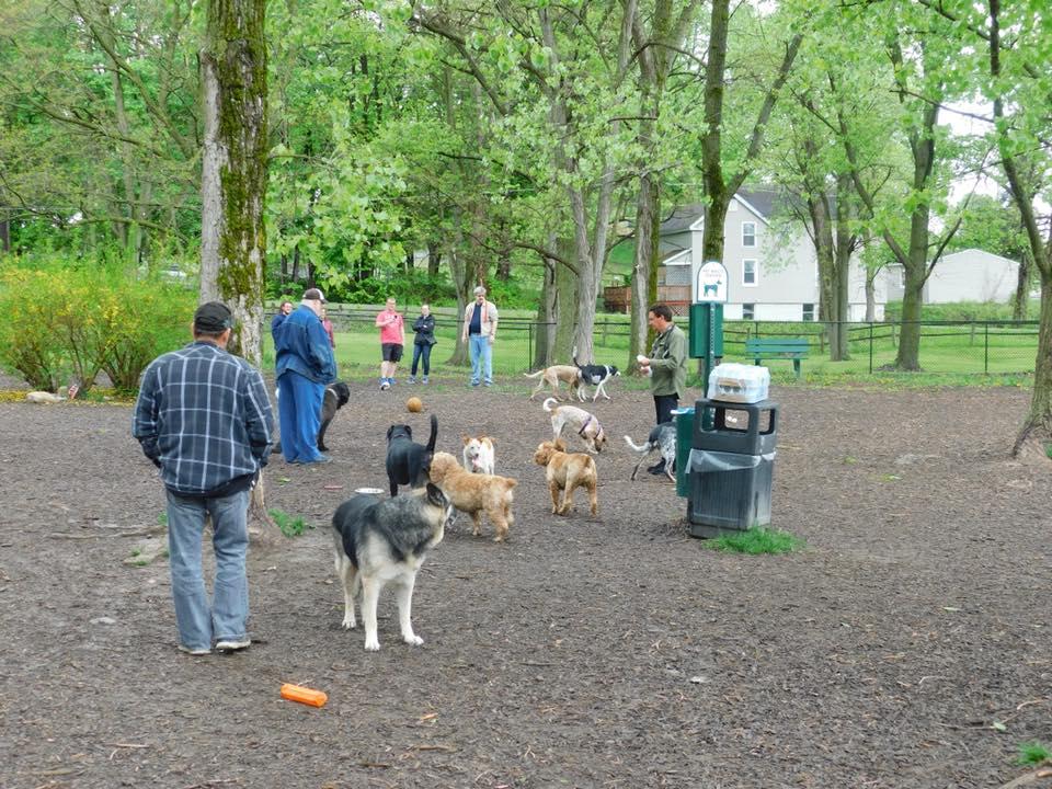 Lakeside Dog Park