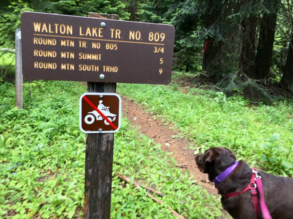 Pet Friendly Round Mountain Trail