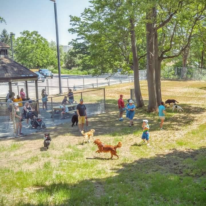 geneva parks ny bringfido leash dog bark park