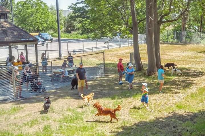 Pet Friendly Geneva Bark Park