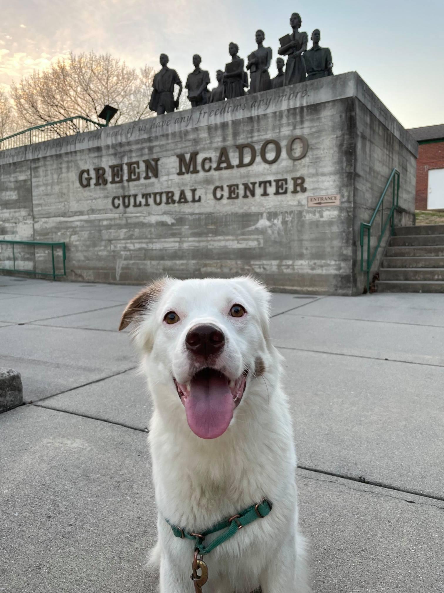 Pet Friendly Green McAdoo Cultural Center
