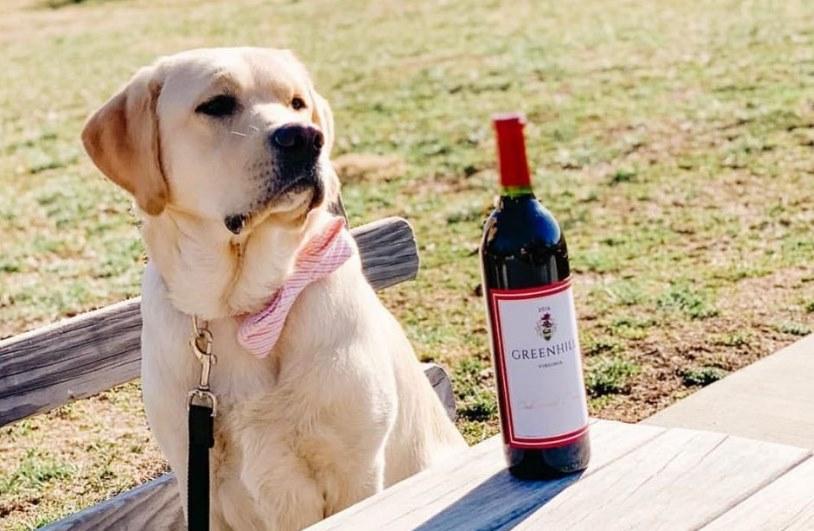 Greenhill Winery Vineyards