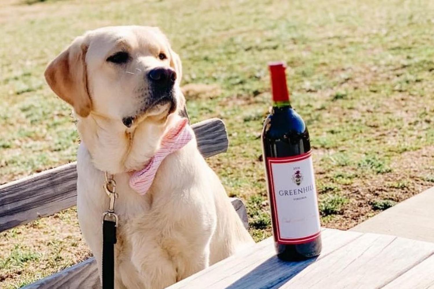 Greenhill Winery Vineyards Greenhill Winery Vineyards