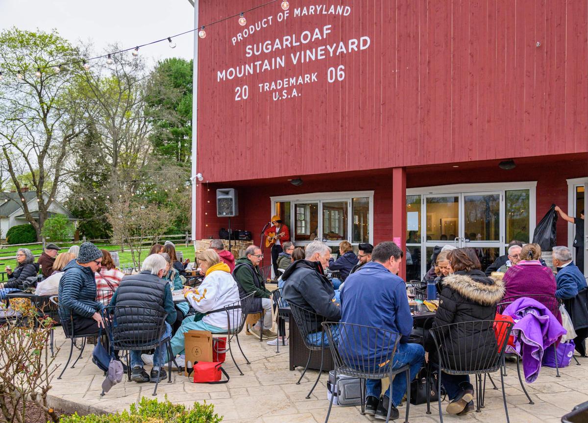 Sugarloaf mountain vineyard discount