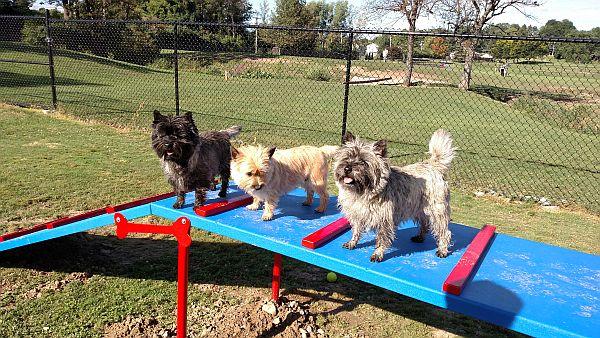 Pet Friendly Henrietta Dog Park at Lookup Park