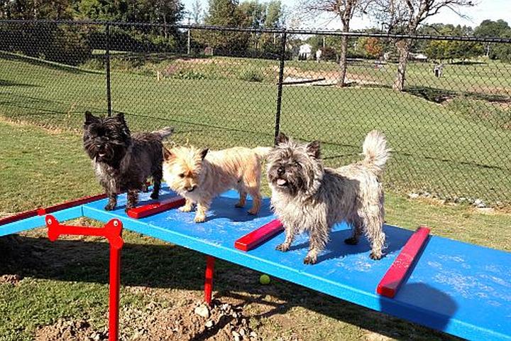 Pet Friendly Henrietta Dog Park at Lookup Park