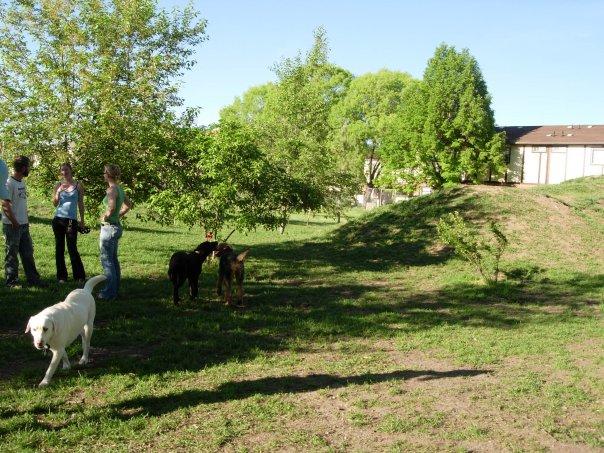 Off Leash Dog Parks In Logan Ut Bringfido