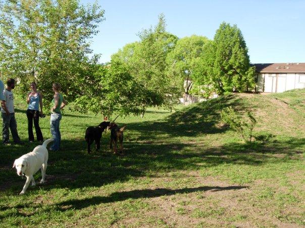Off-Leash Dog Parks in Logan, UT - BringFido
