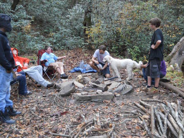 are dogs allowed at falls lake