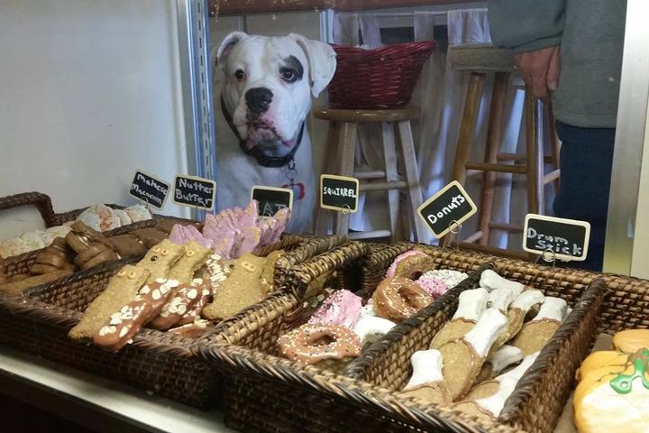 Pet Friendly Smoky Mountain Dog Bakery