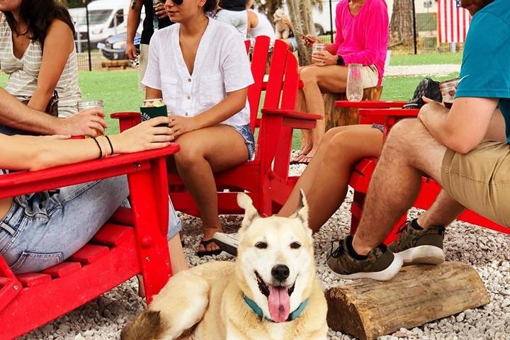 Pet Friendly BrewHound Dog Park + Bar