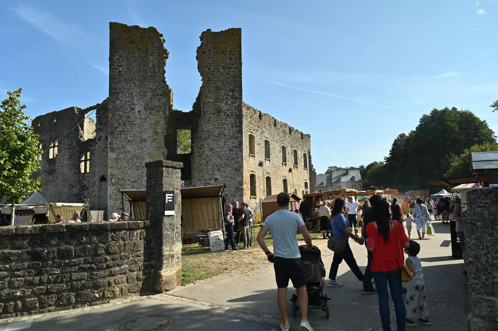 Pet Friendly Koerich Castle