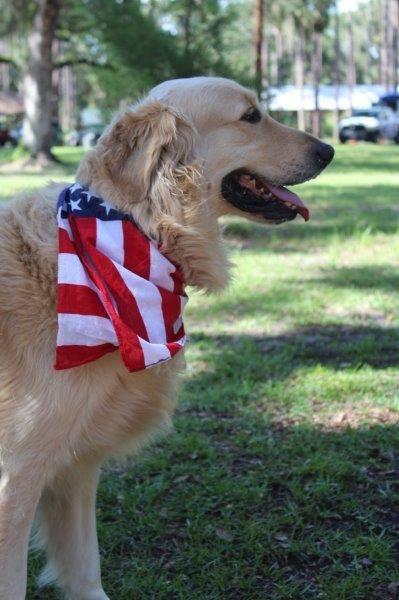 Dog Friendly Activities in The Villages FL BringFido