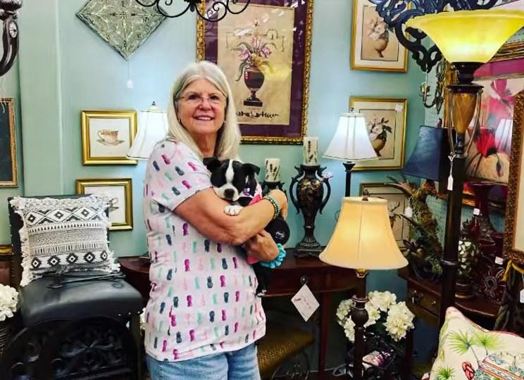 Pet Friendly Queen of Hearts Antiques & Interiors