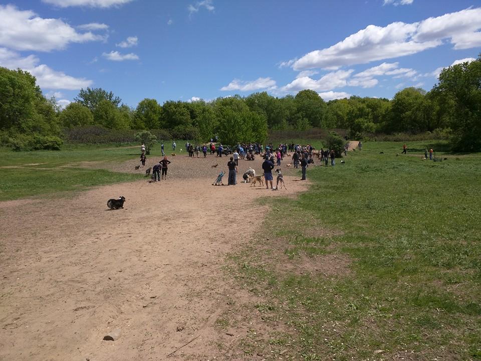Off Leash Dog Parks In Maplewood Mn Bringfido