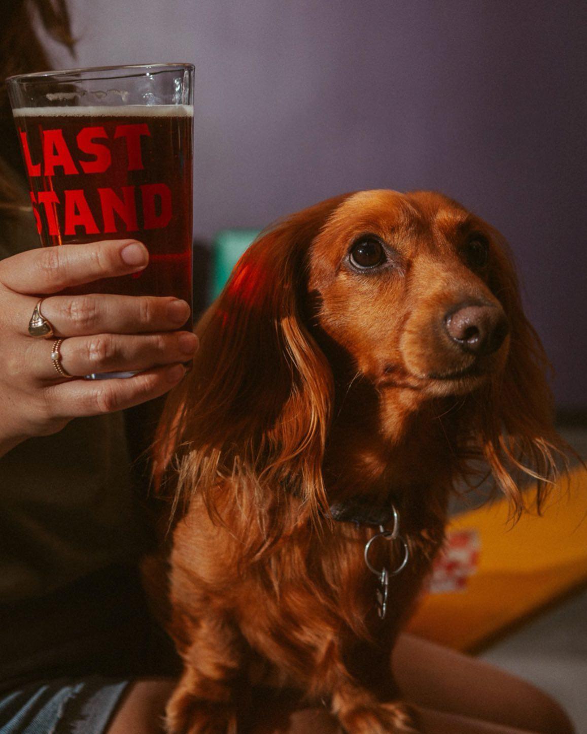 Pet Friendly Last Stand Brewing Company