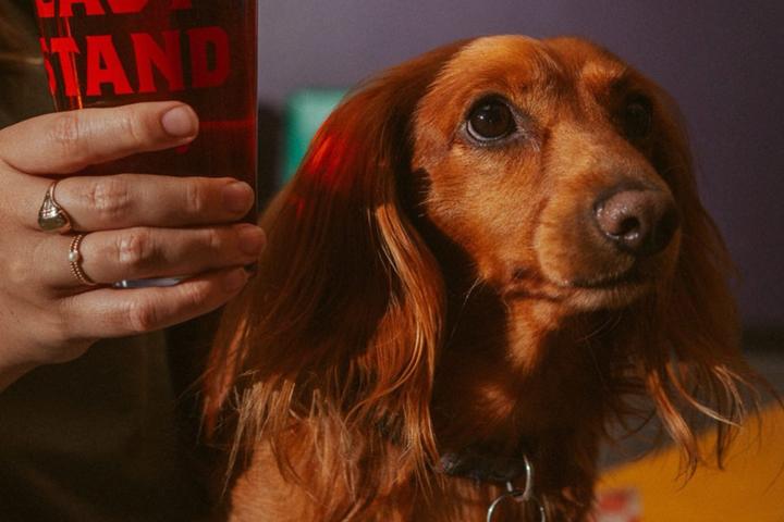 Pet Friendly Last Stand Brewing Company