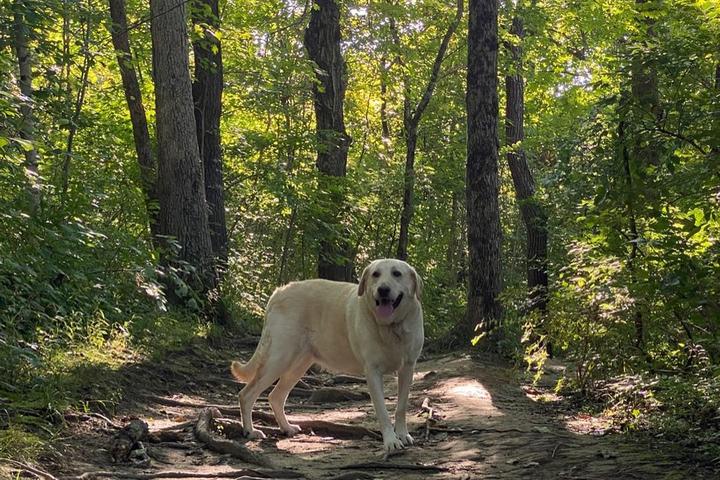 Pet Friendly Indian Mound Reserve