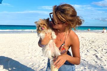 Travelling from US to Nassau With Dog: Essential Tips for Smooth Trips
