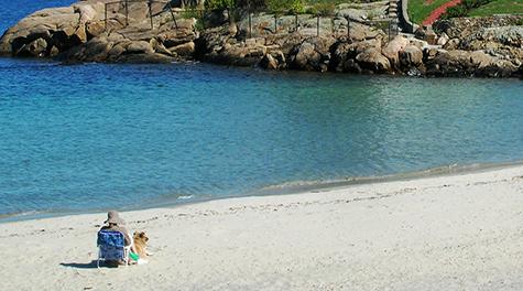 are dogs allowed on good harbor beach