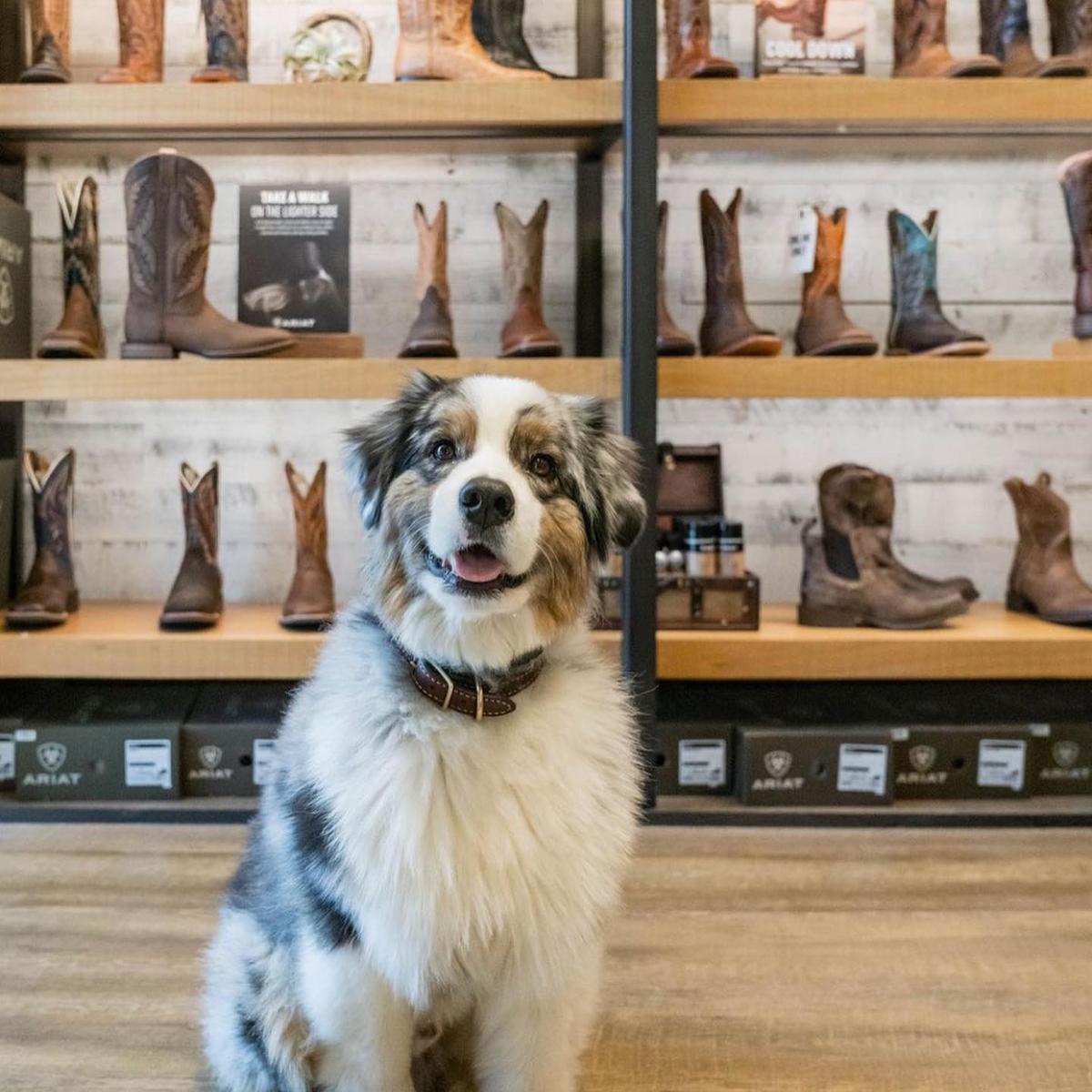 The summit shoe stores store