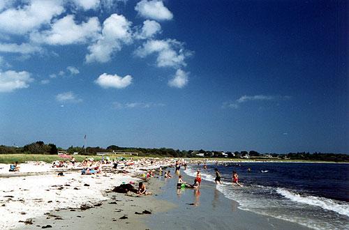 is crescent beach dog friendly